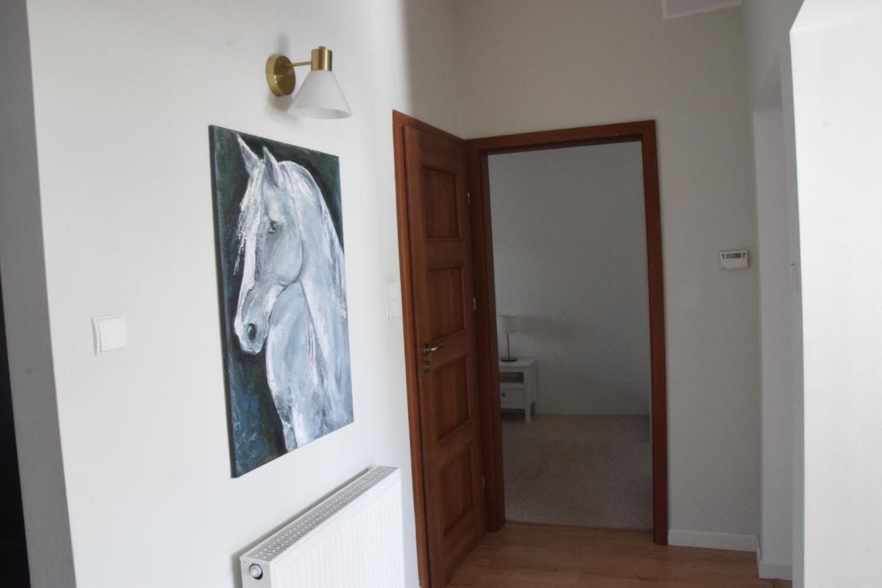 Urocze Przestronne,W Idealnej Lokalizacji Apartment Bielsko-Biala Exterior photo